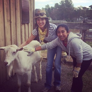 Team Page: Lauren Chu